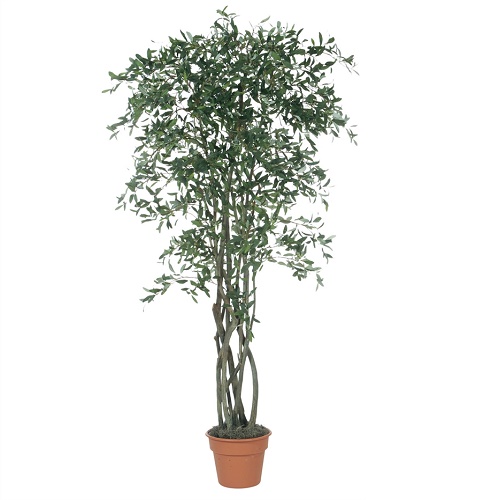 Olive Tree 7' - Artificial Trees & Floor Plants - Artificial Olive trees for rent